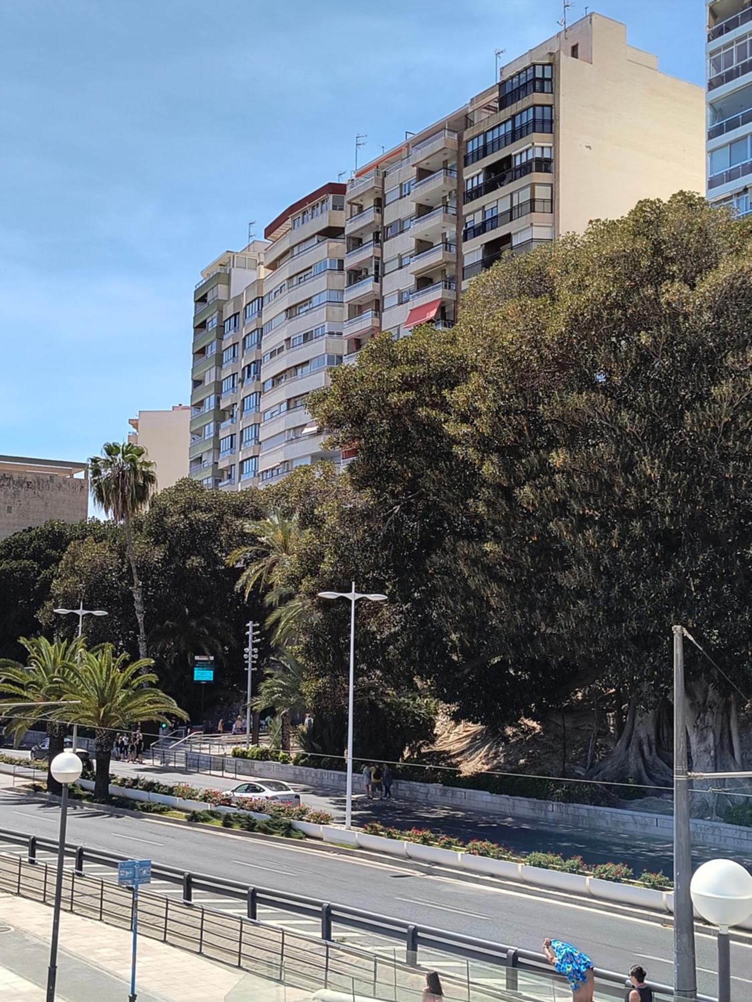 Apartamento Playa Alicante Bagian luar foto